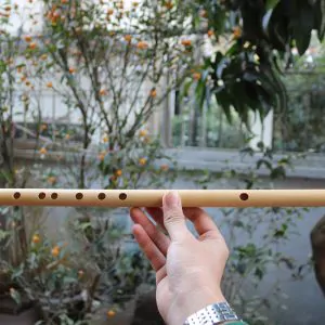 Sáo Trúc Thờ Phượng STP-01 - Sáo Trúc Họ Đinh