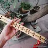 Sáo Trúc Thờ Phượng STP-02 - Sáo Trúc Họ Đinh
