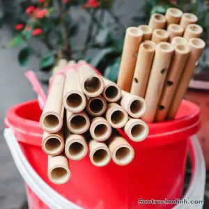 Sáo Nứa Tone Đô C5 SNC-01 - Sáo Trúc Họ Đinh