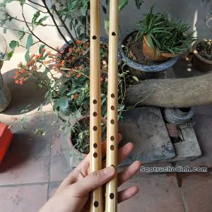 Sáo Nứa Tone Đô C5 SNC-01 - Sáo Trúc Họ Đinh