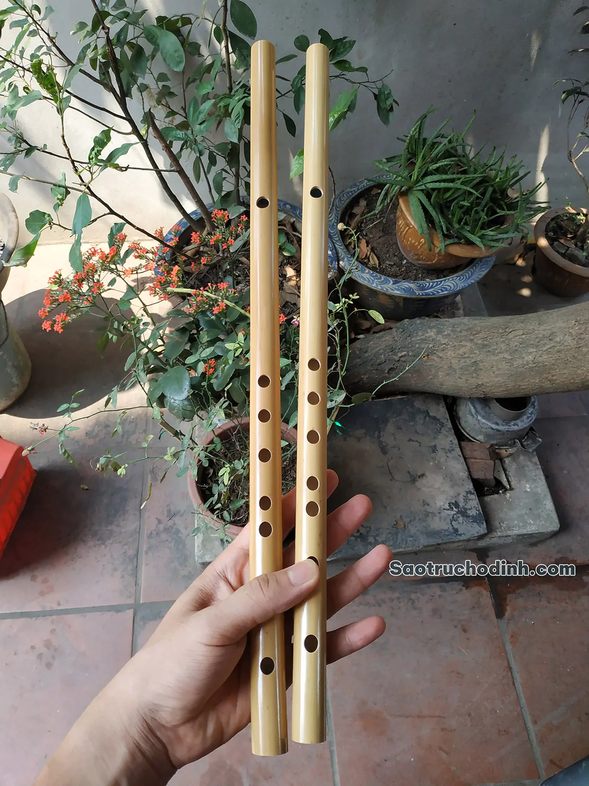 Sáo Nứa Tone Đô C5 SNC-01 - Sáo Trúc Họ Đinh
