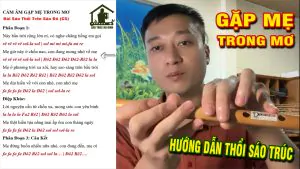 Gặp Mẹ Trong Mơ Sáo Trúc